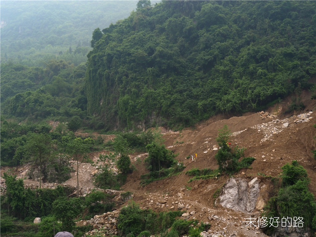 P4260302_dh.jpg
