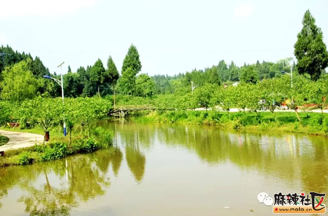 微信截图_20160521042820.jpg