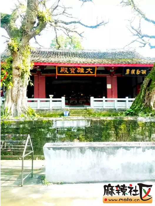 微信截图_20160521042908.jpg