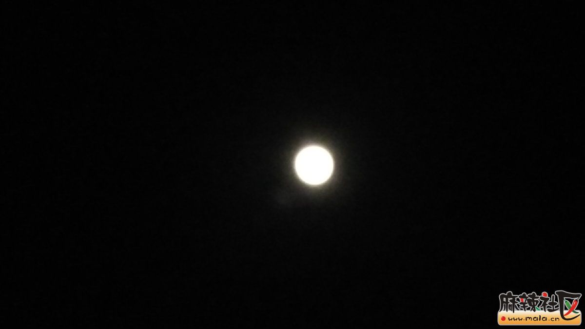 IMG_20160520_222221.jpg