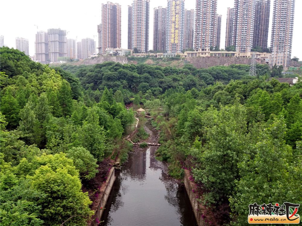 重慶彩雲湖環保工程對西充垃圾和廢水處理的啟示