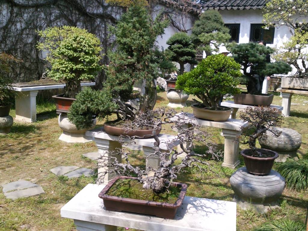 Ƭ1780.jpg