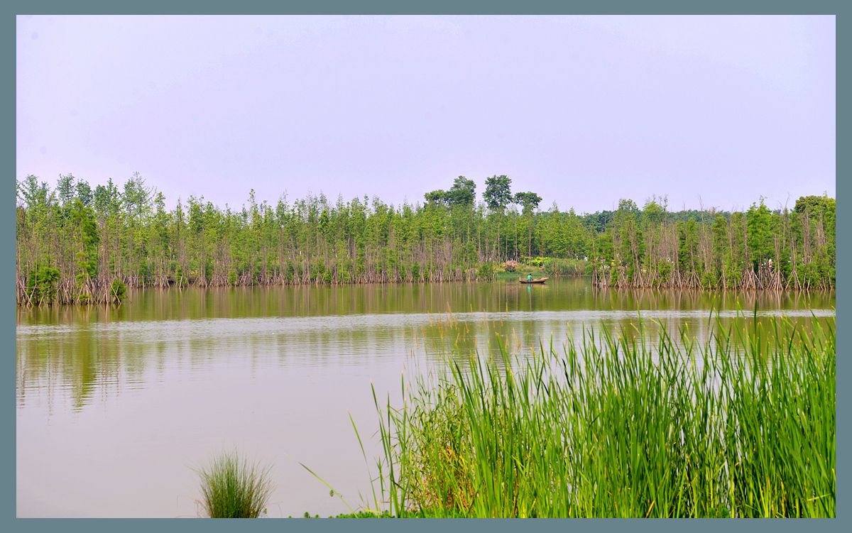 成都白鹭湾湿地公园
