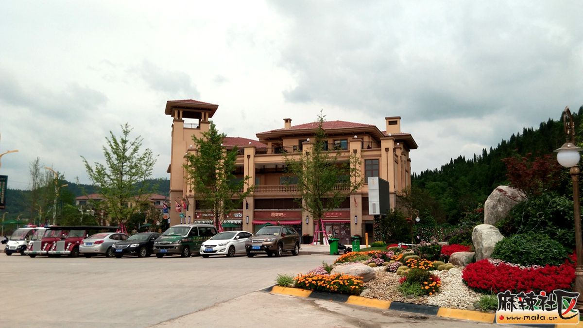 2016204.jpg
