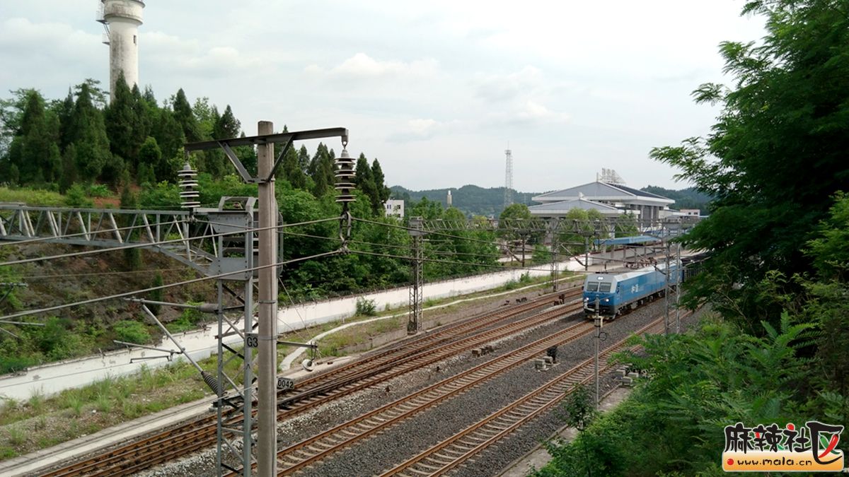 2016404.jpg
