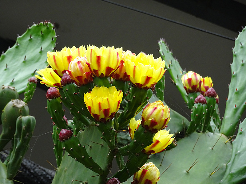 DSC05705_.jpg