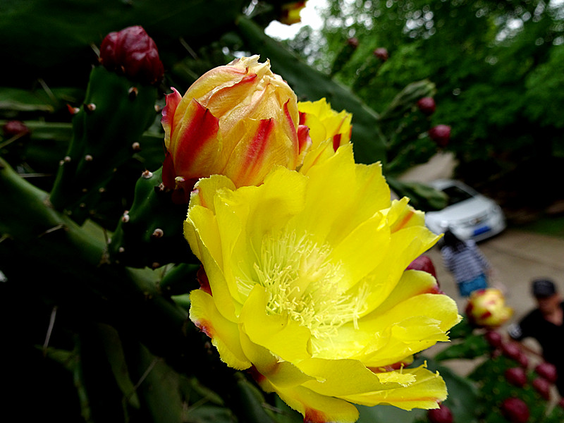 DSC05713_.jpg
