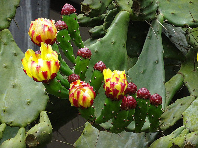DSC05710_.jpg
