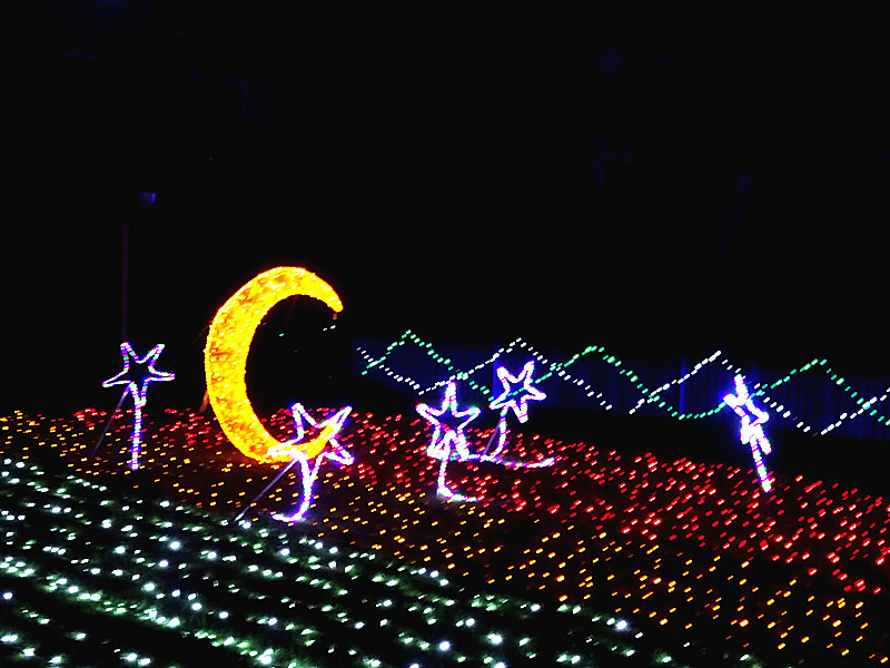 DSC05868_.jpg