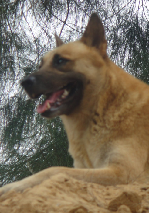 091236sueewumv6xlwsouu.jpg