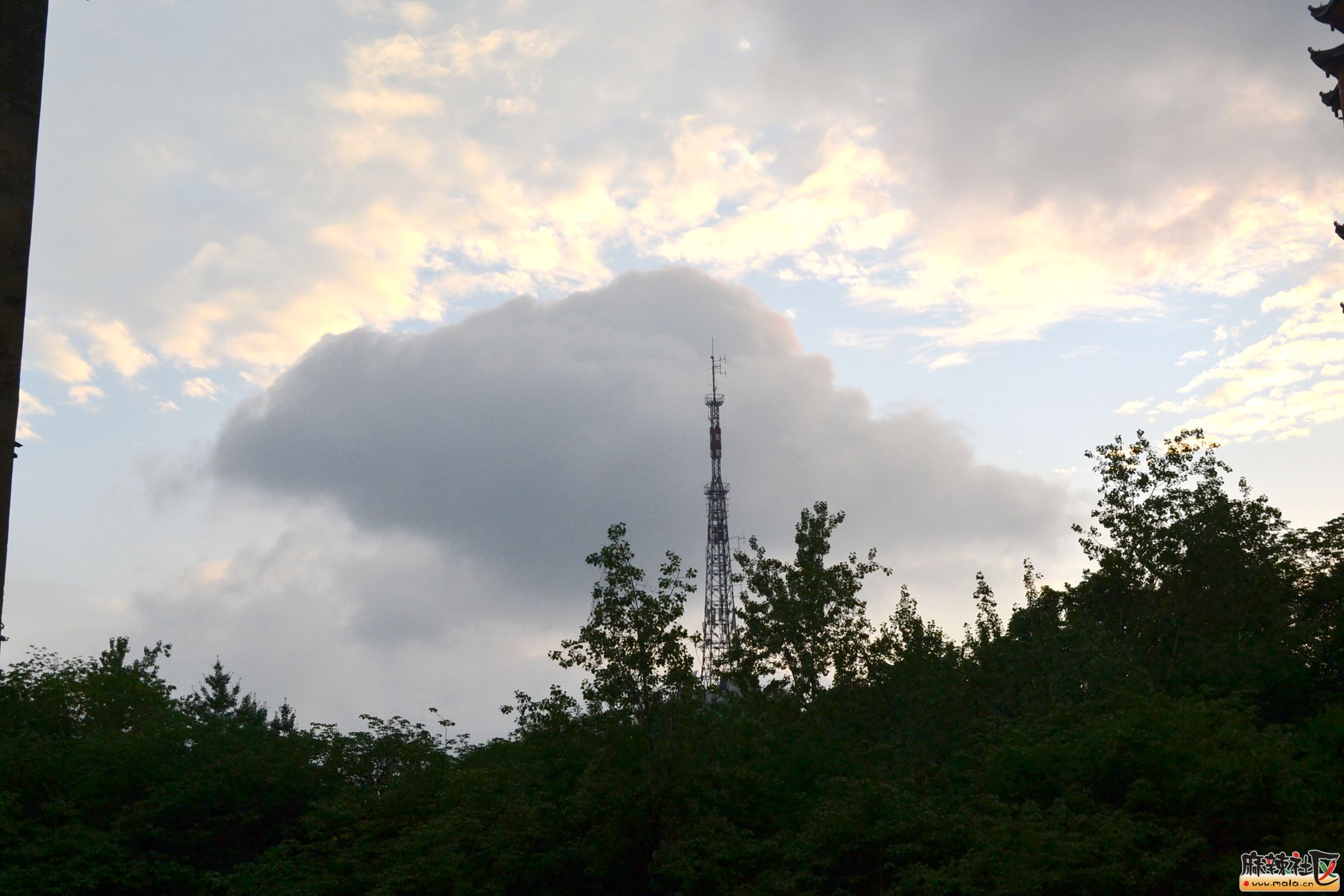 DSC_7906.JPG