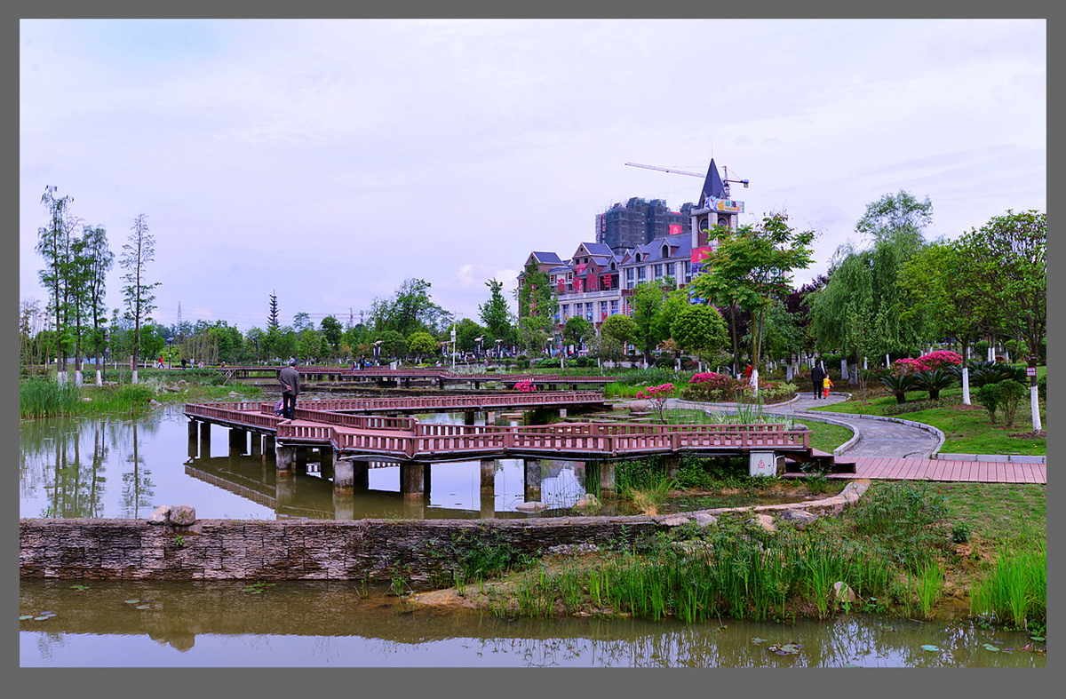 DSC_4940__.jpg