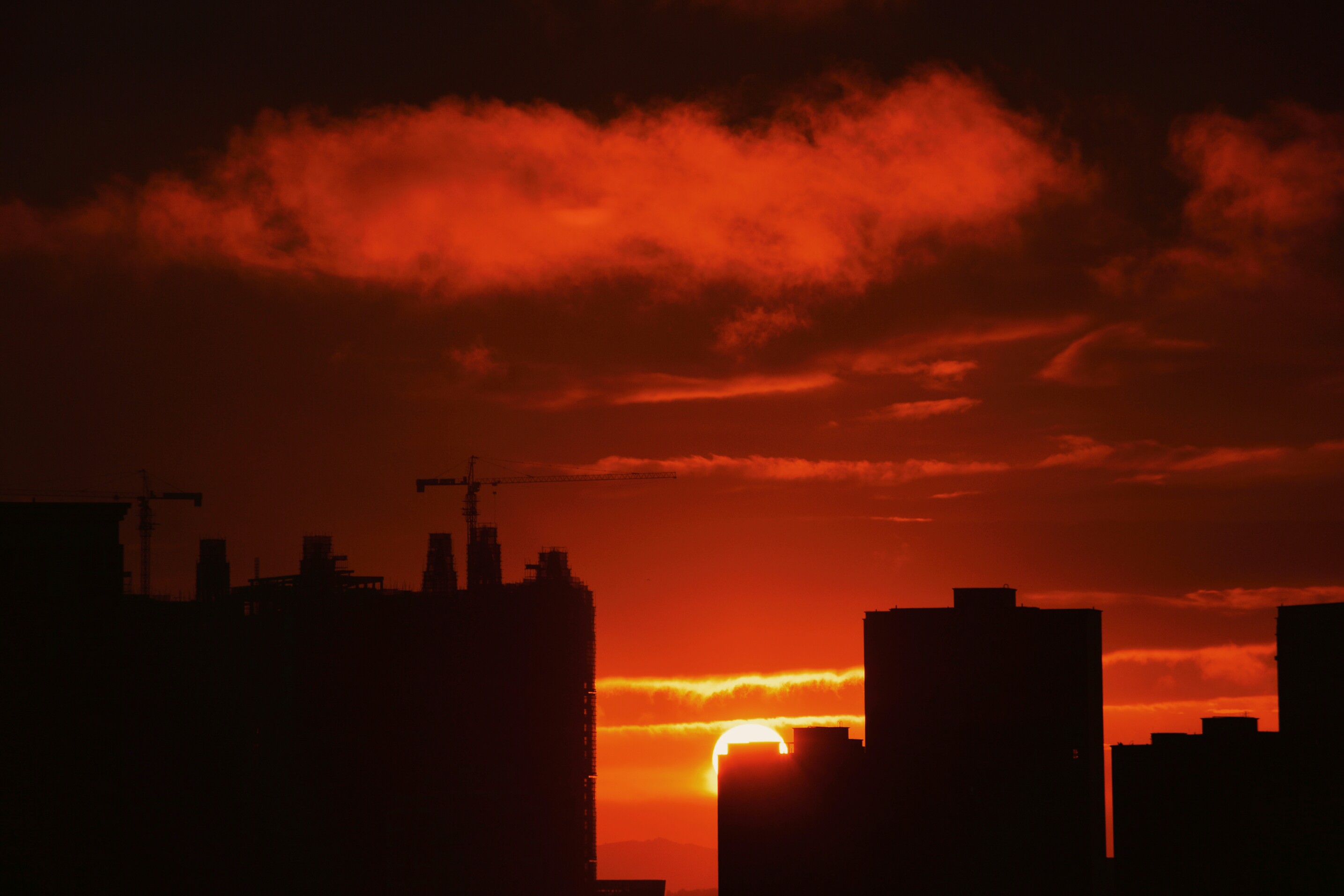 DSC_2559.jpg