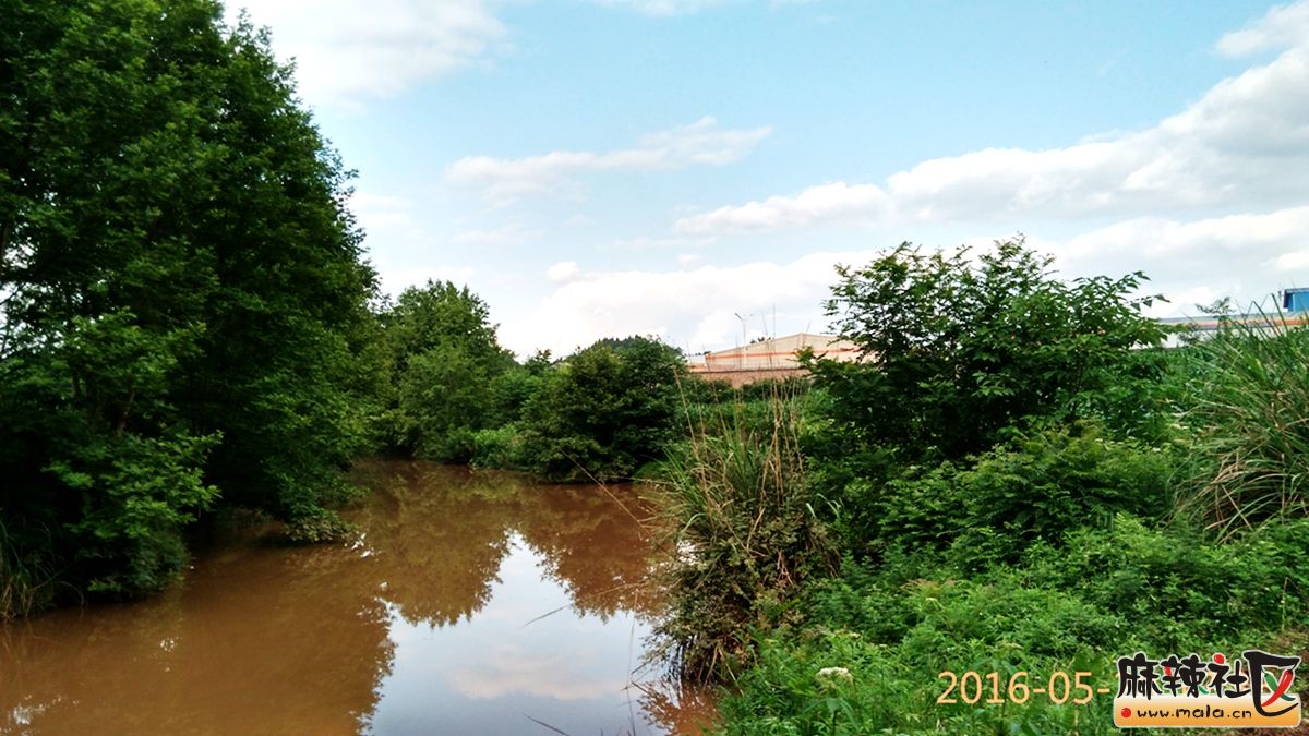 2016203.jpg