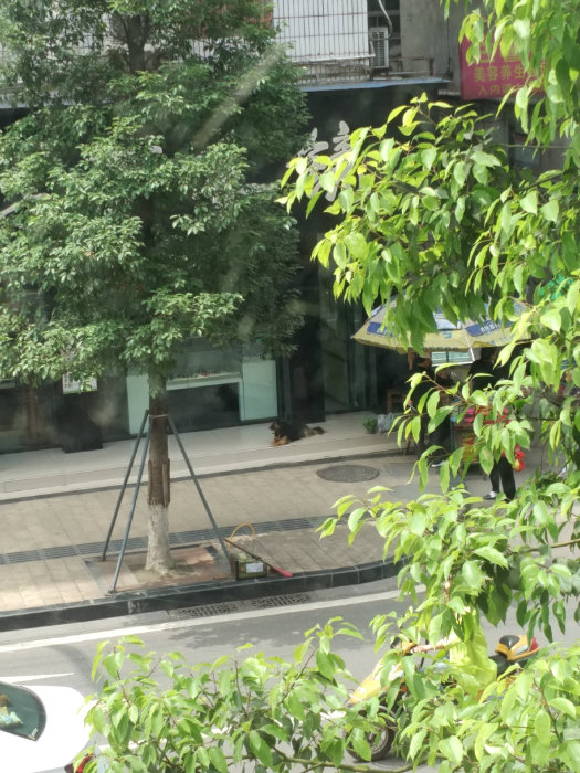 142519u0zwh51w11956tdt.jpg