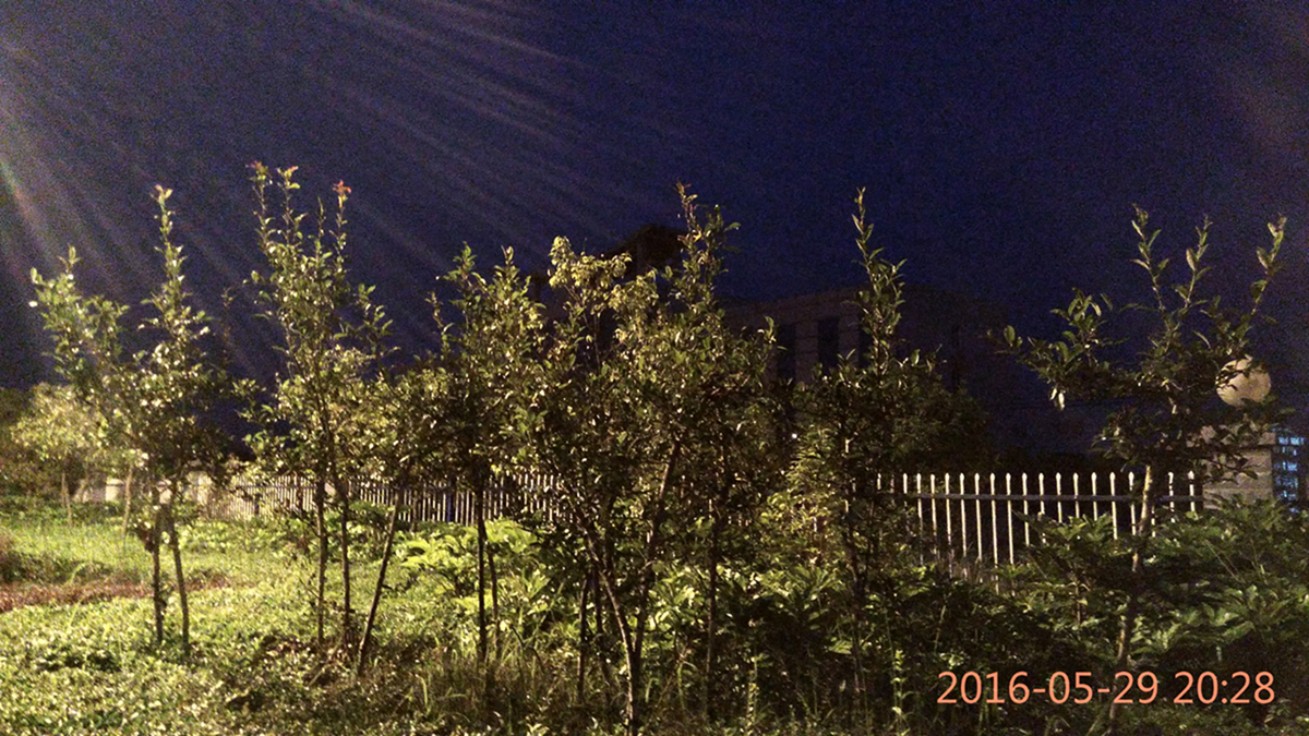 2016178.jpg