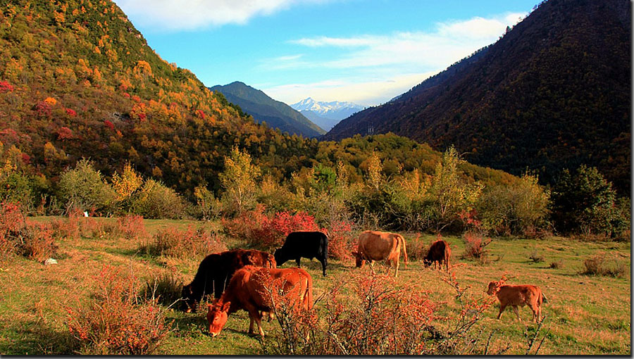 只介绍不一般的身心放逐,洗涤之地……-成都论坛-麻辣社区 四川第一