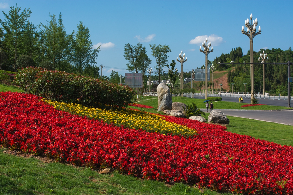 我也看看绥安大道