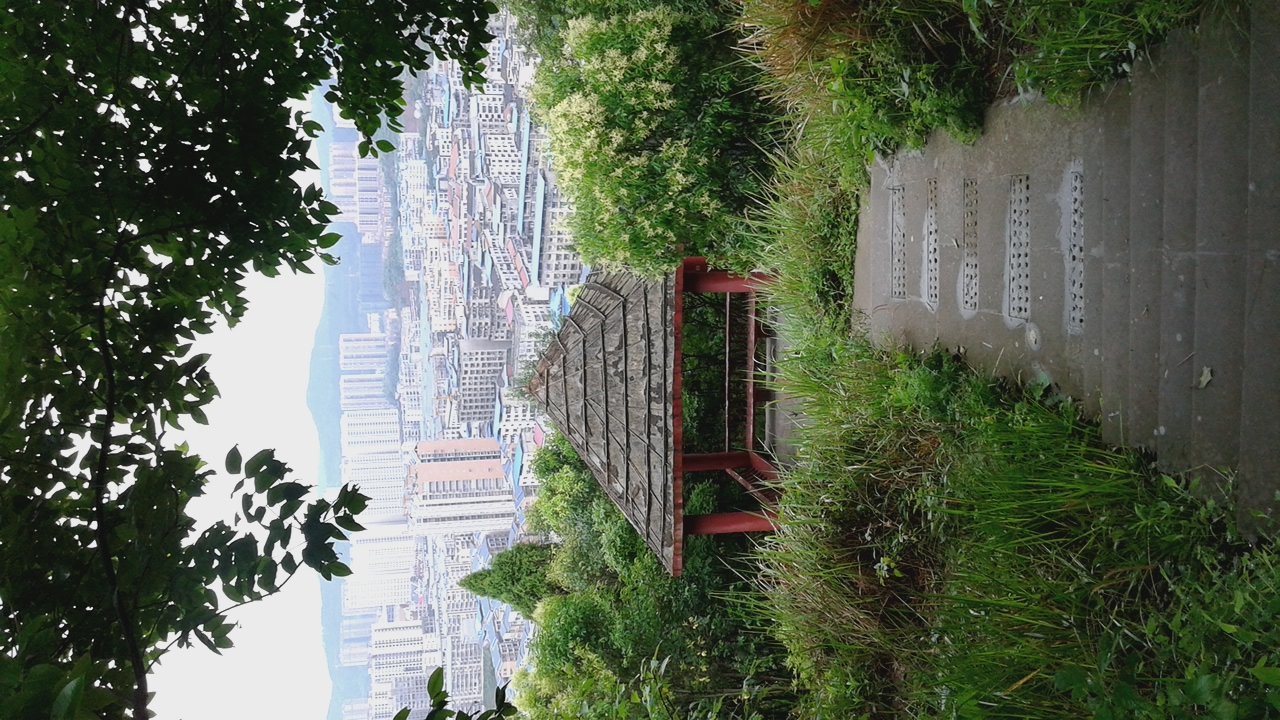 20160602_074921.jpg