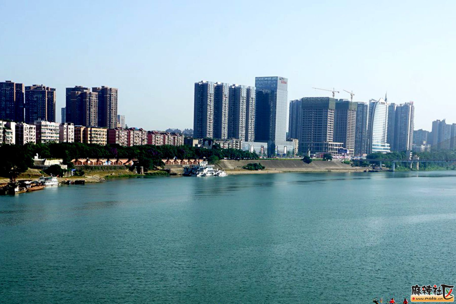 DSC08474_.jpg