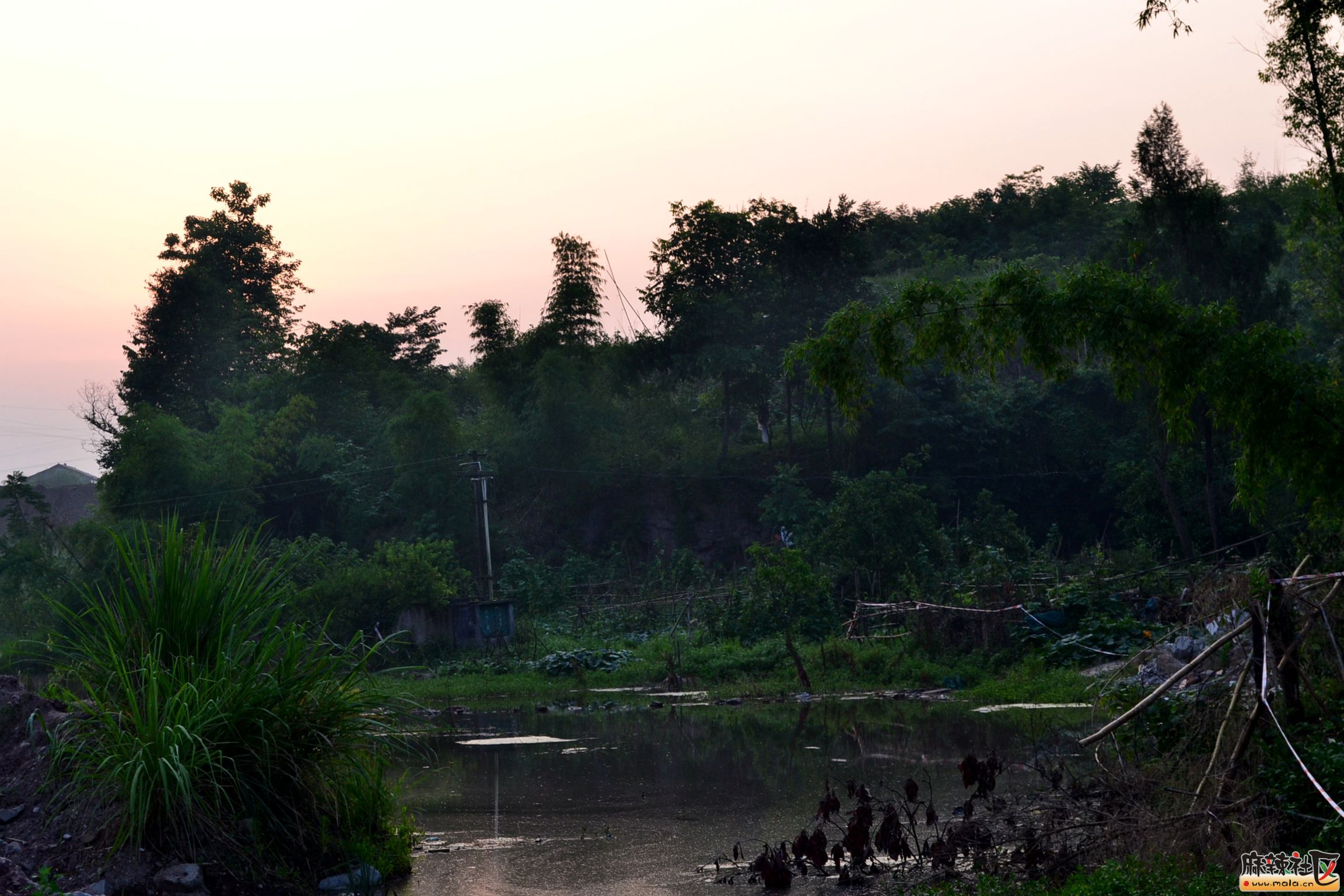 DSC_8032.JPG