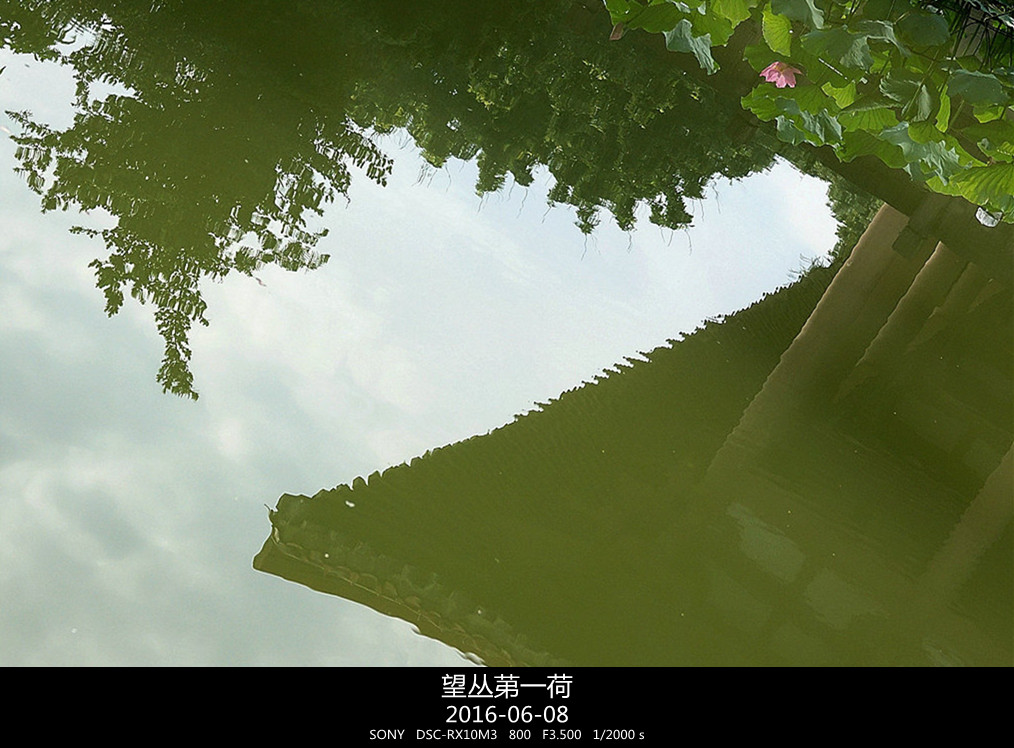 190727fht1zk1hdkkgphjj.jpg