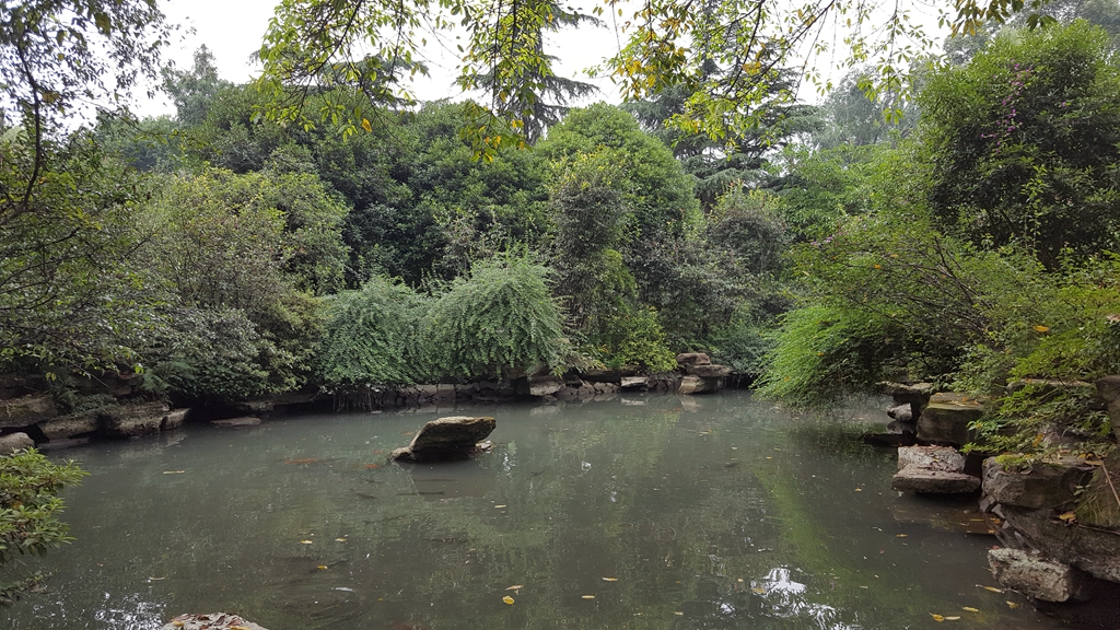 20160606_134642.jpg