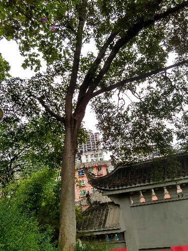 IMG_20160609_154051_HDR.jpg