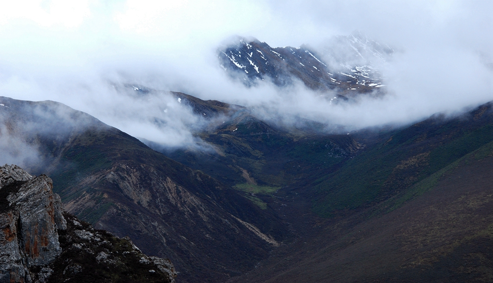 DSC_0565.JPG