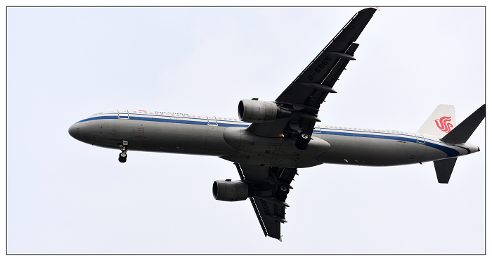 DSC_8485.jpg