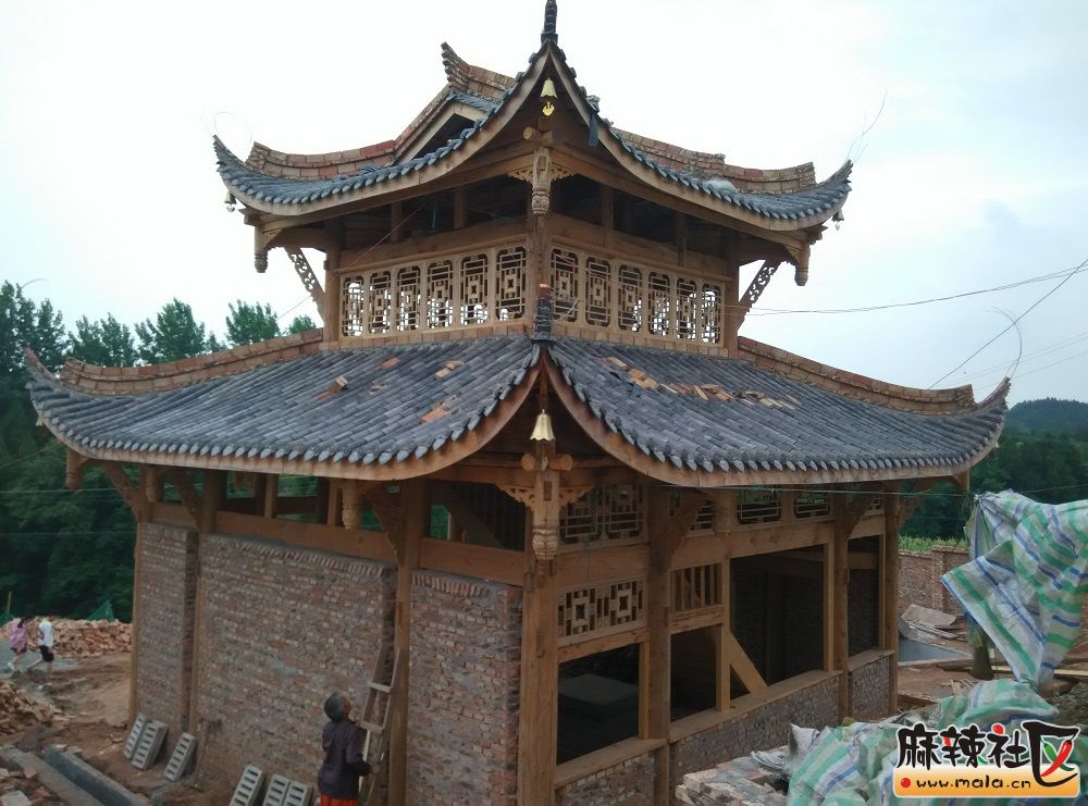 163011lrnjav9p6h6segre.jpg