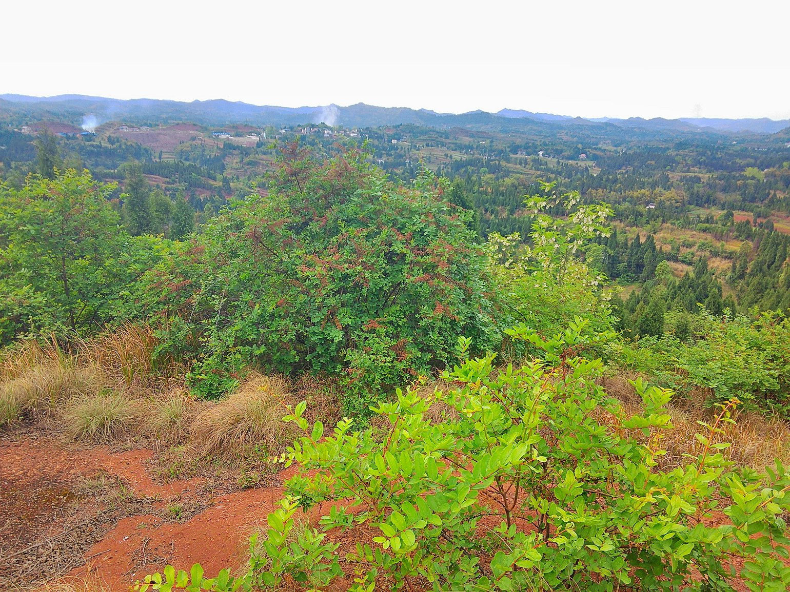 IMG_20160406_163728_HDR.jpg
