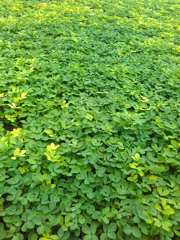 ½ļIMG_20160609_175200_.jpg