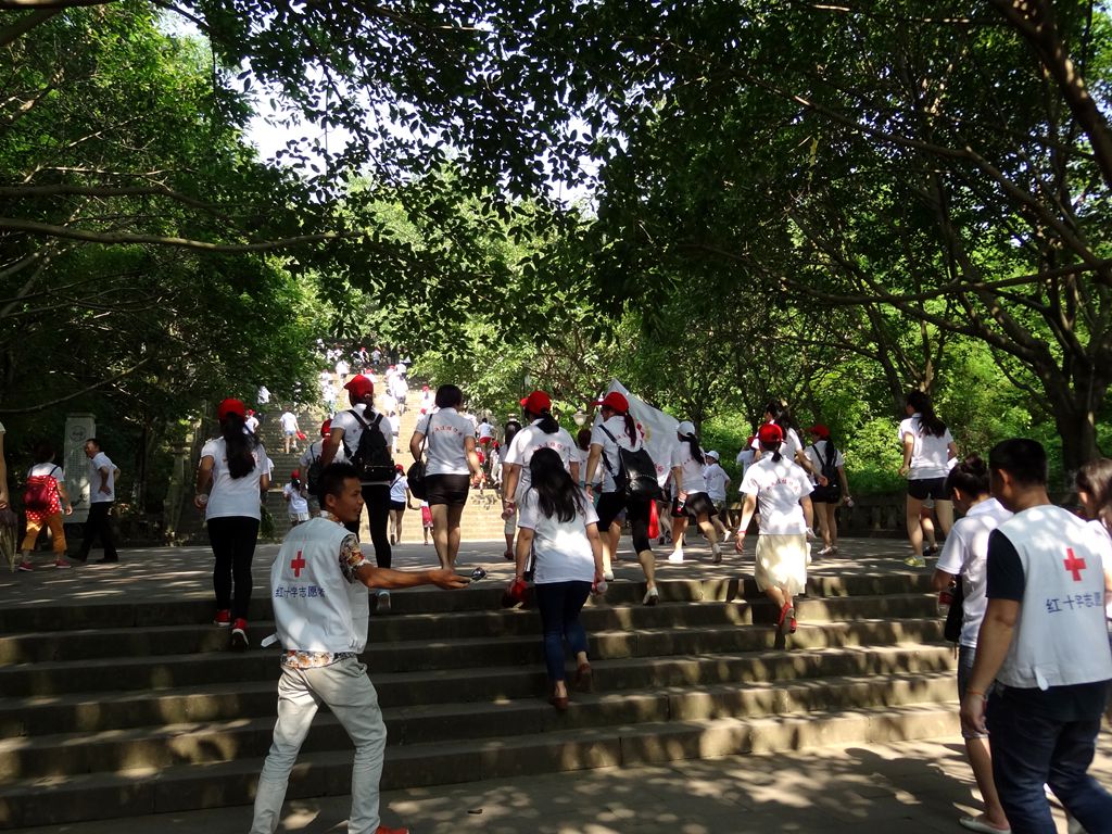 DSC00093_.jpg