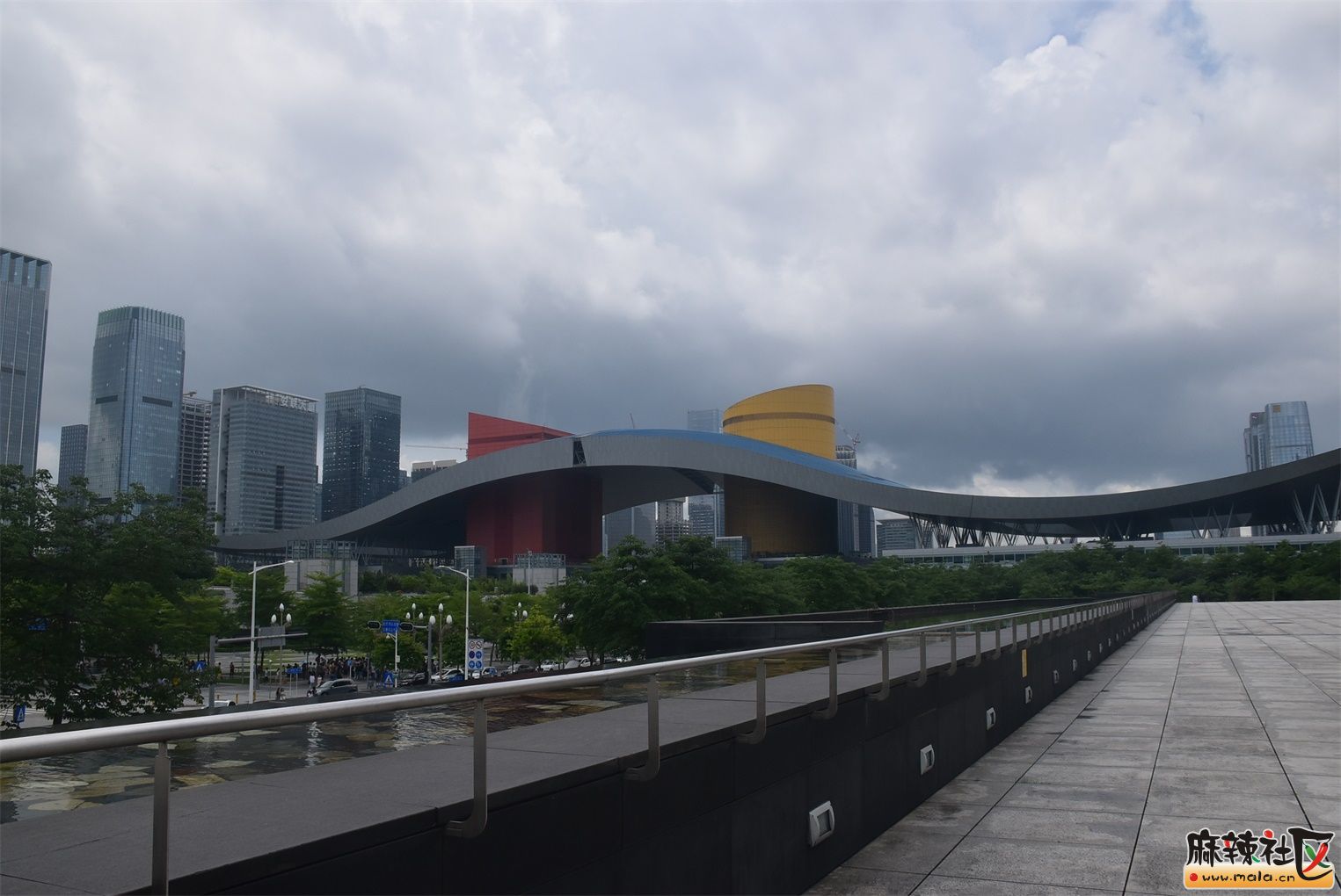 DSC_0205.JPG