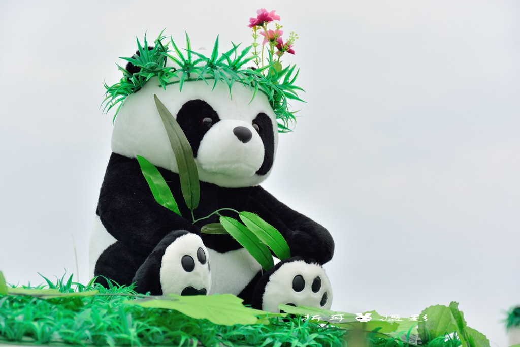 看各种卖盟熊猫宝宝花车——2016都江堰熊猫创意花车大巡游