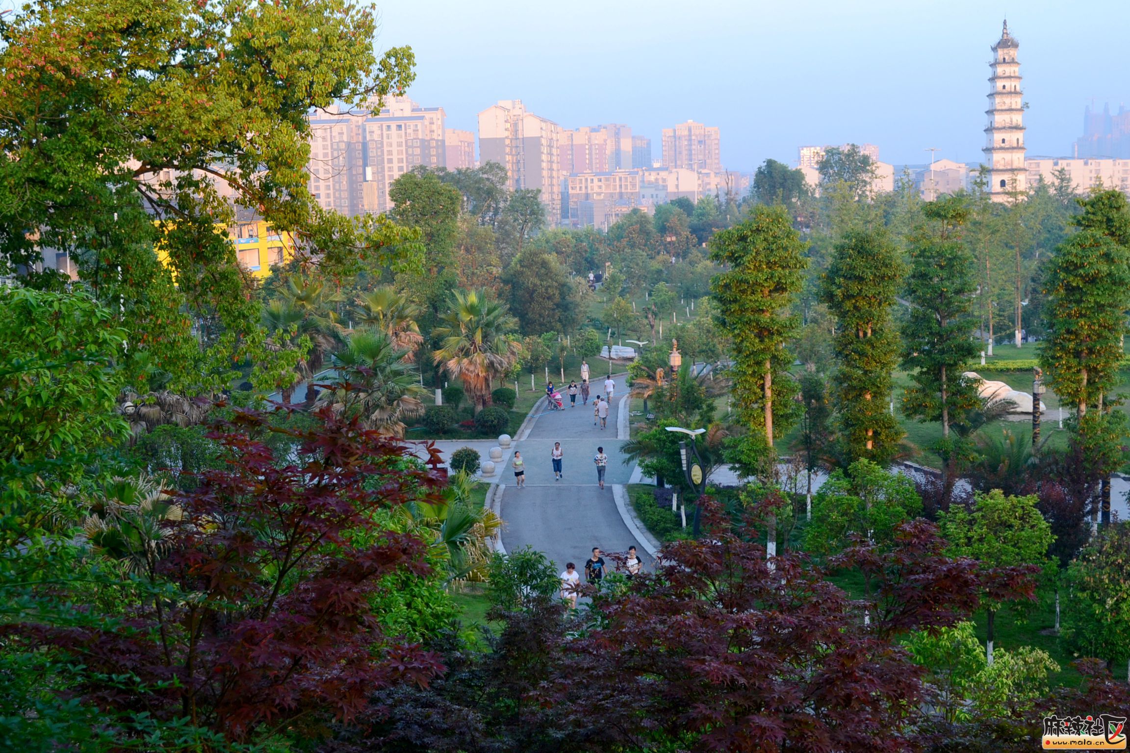 DSC_8459.JPG