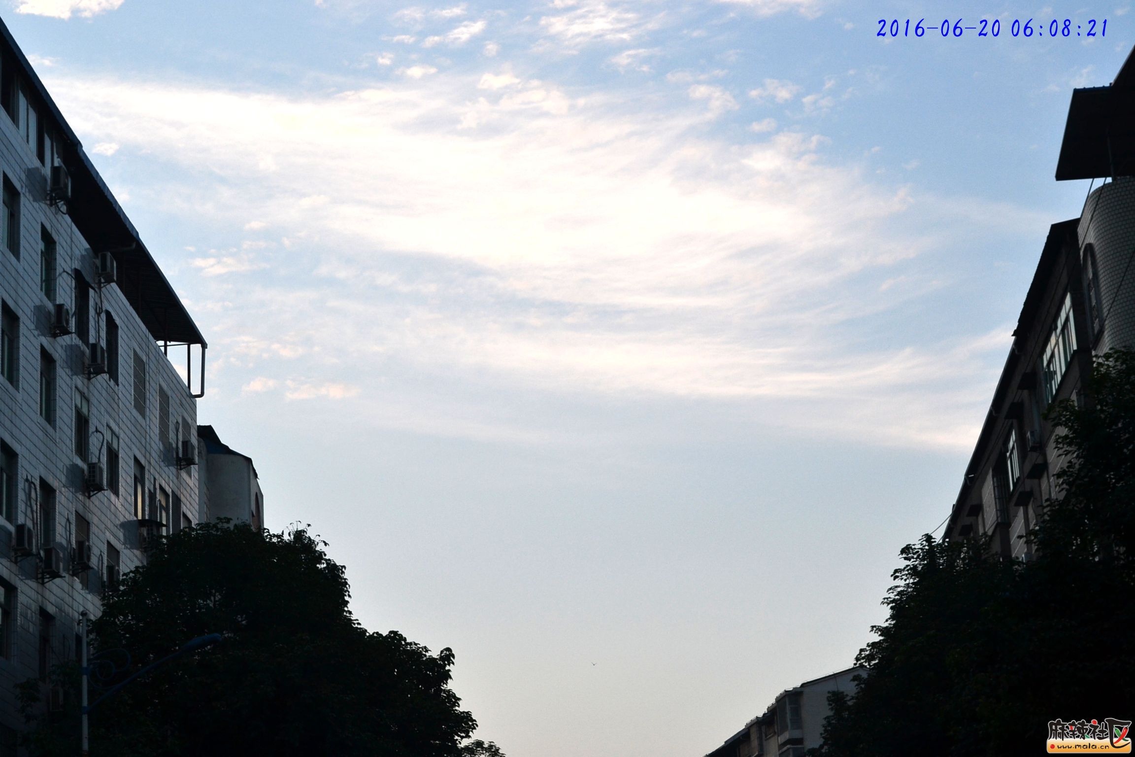 DSC_8439.JPG