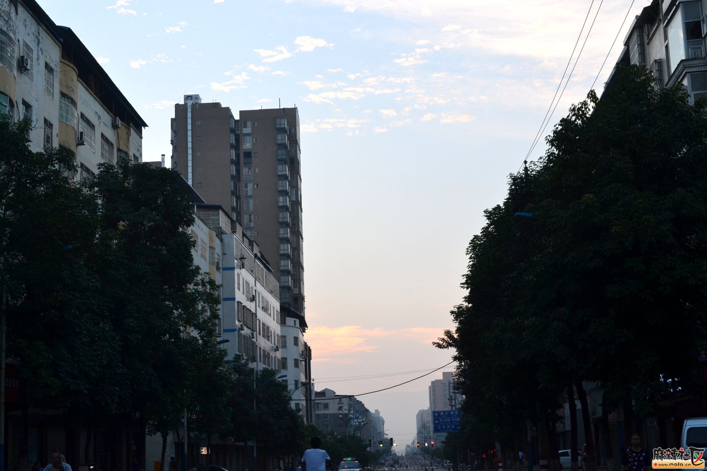 DSC_8440.JPG