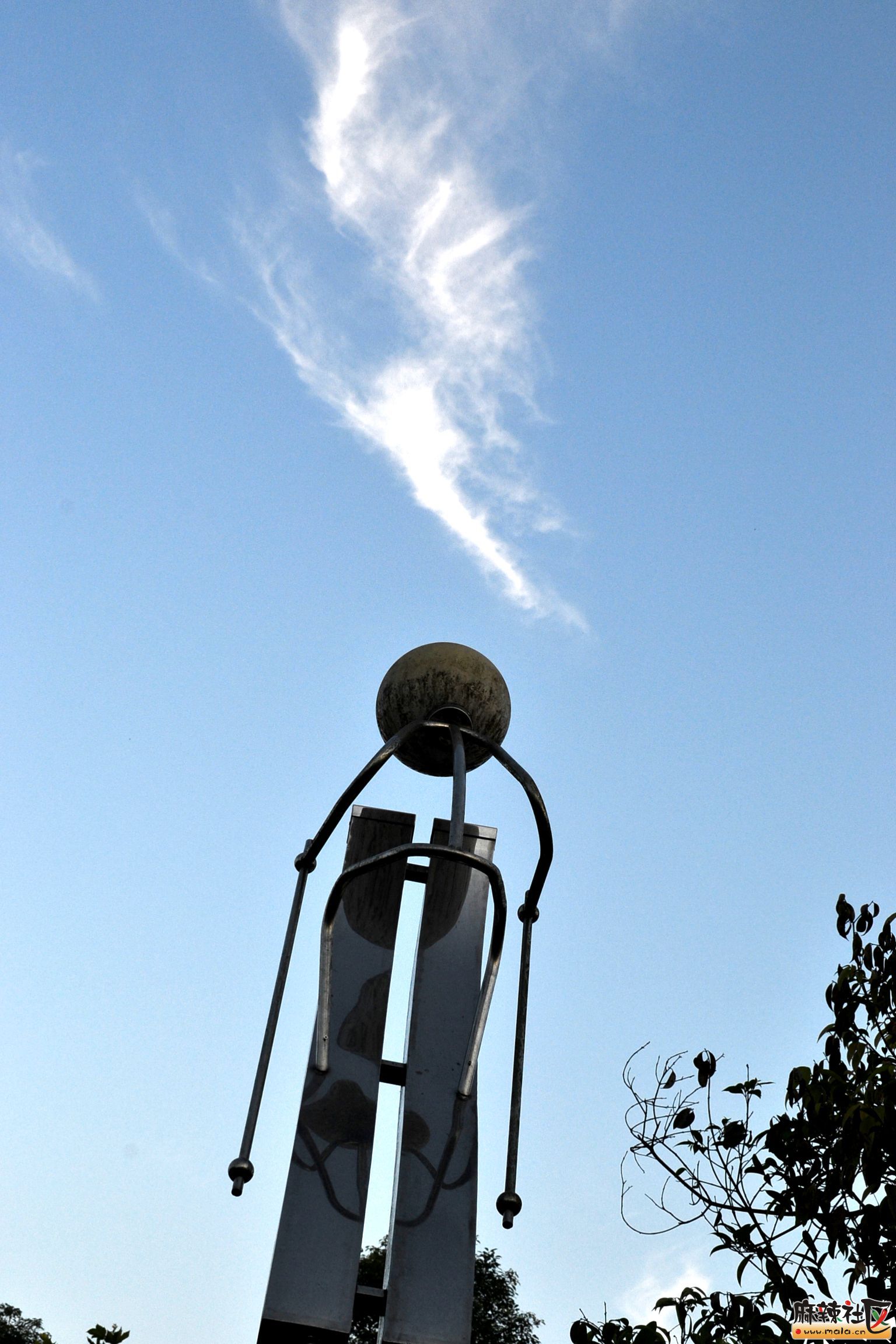 DSC_8467.JPG