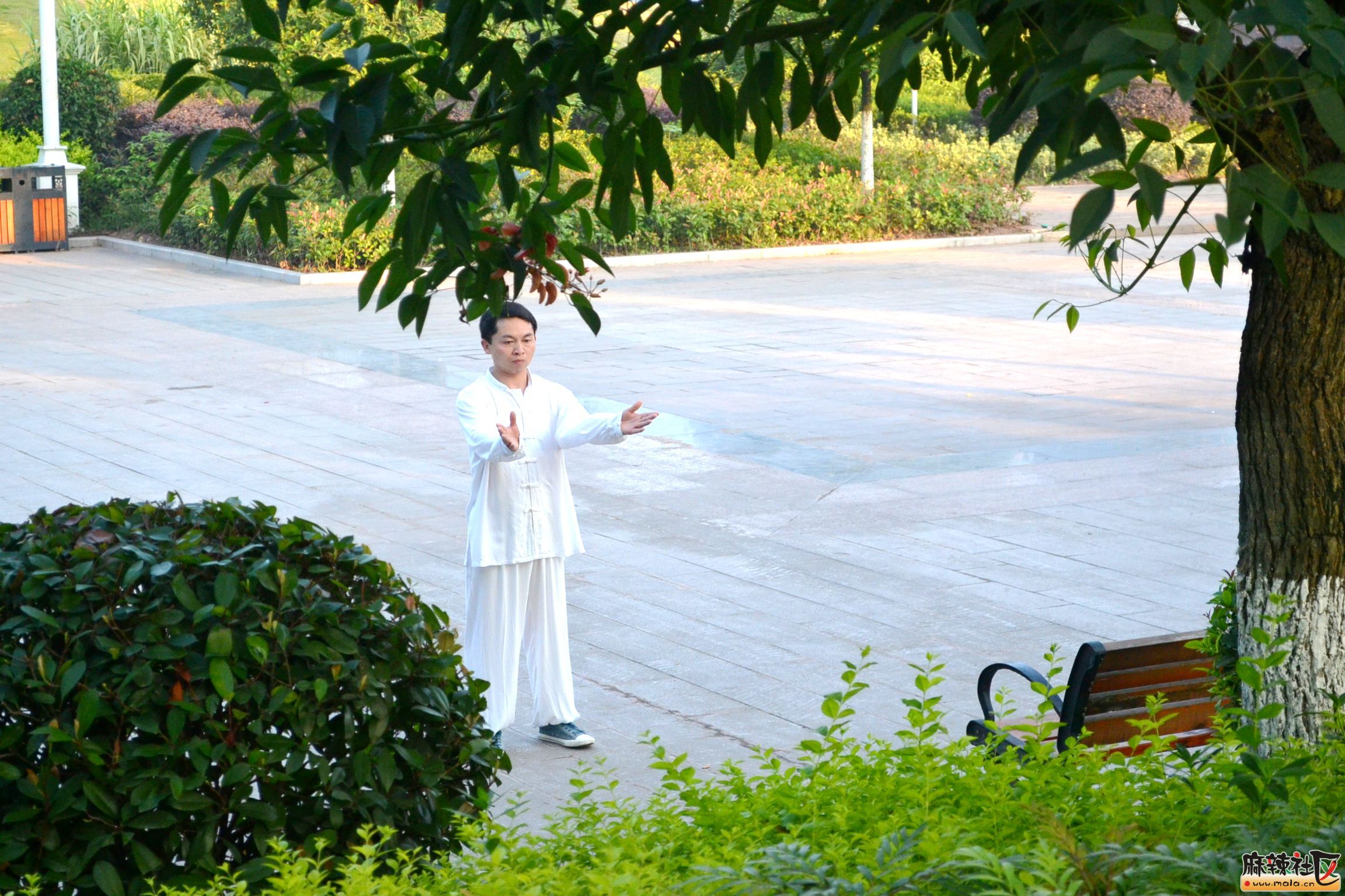 DSC_8487.JPG