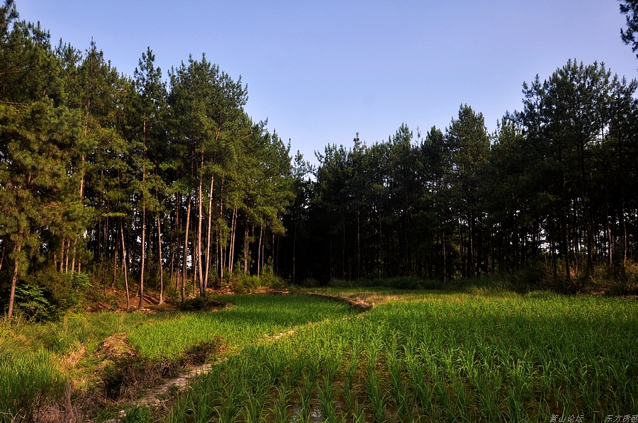 DSC_0177.jpg