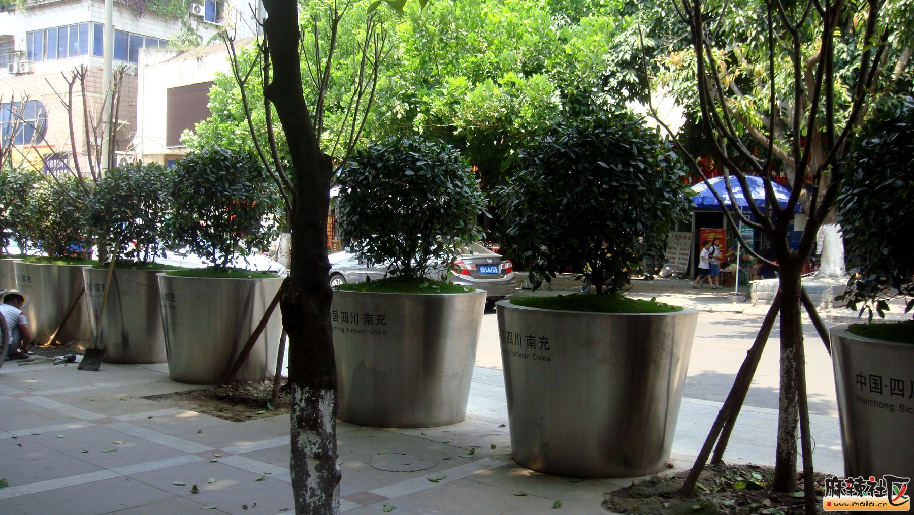 DSC04688.JPG
