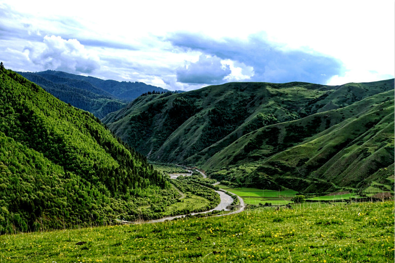 DSC07957_22.jpg