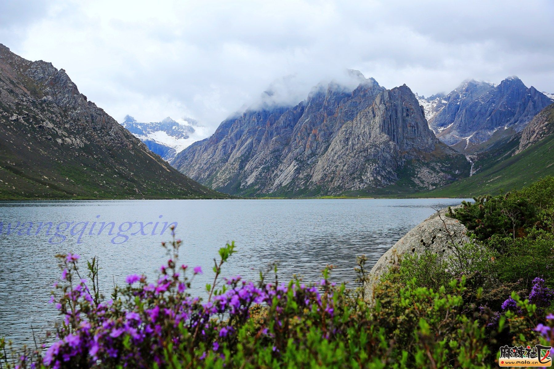 2N2A0932_conew1.jpg
