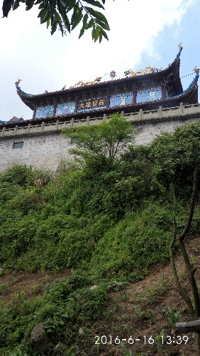 IMG_20160616_133936.jpg