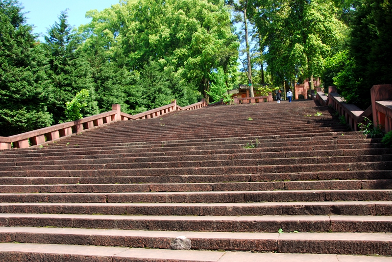 DSC_0823.JPG