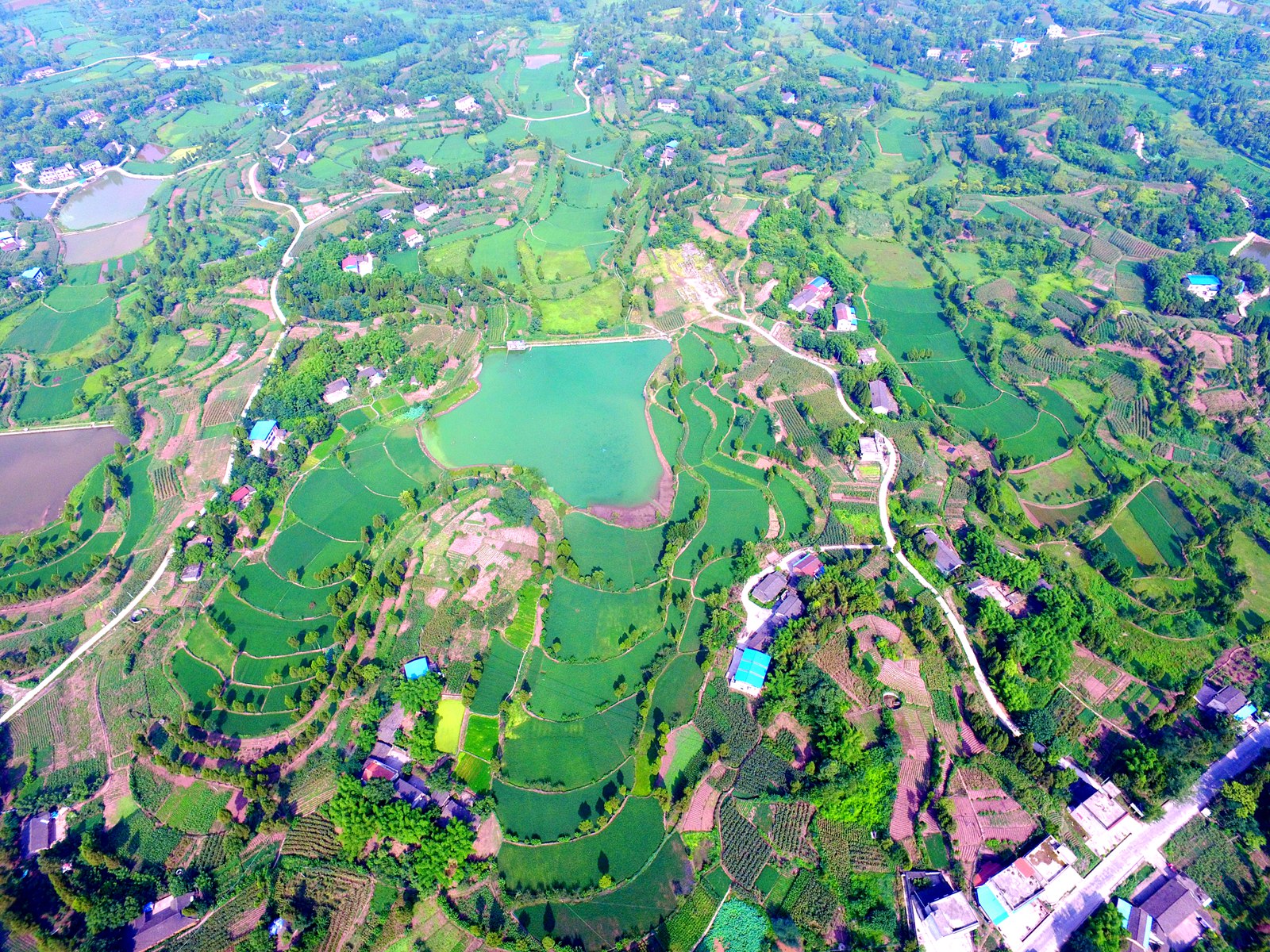 DJI_0265.JPG