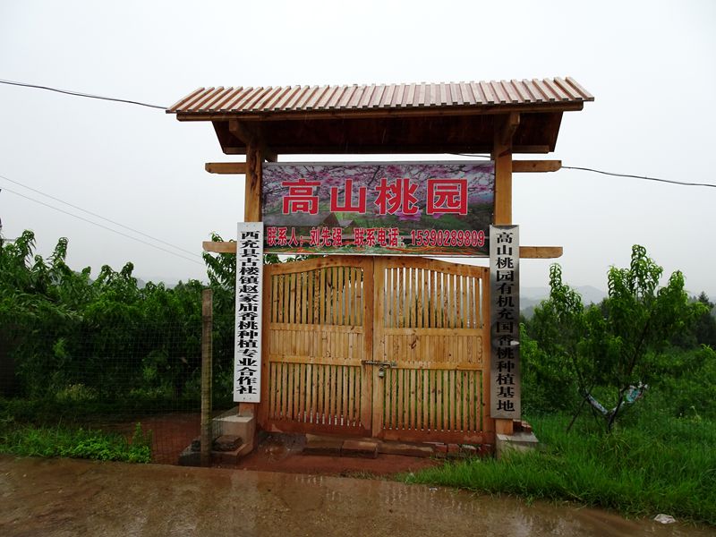 DSC07125_.jpg