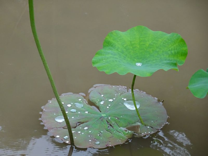 DSC07211_.jpg